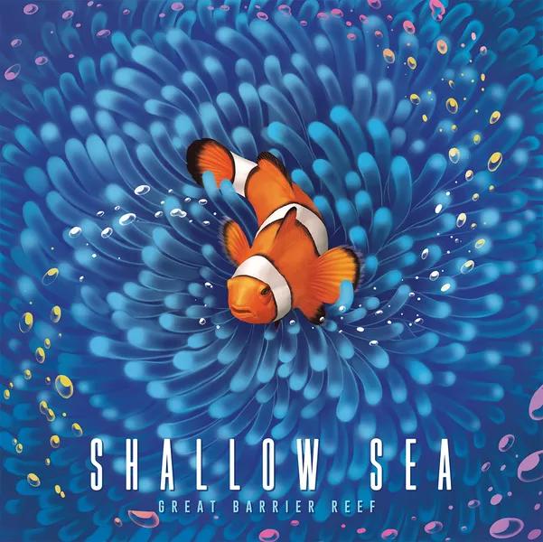 Shallow Sea English Board Game